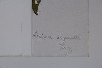 金花忍冬藏品圖，第2張