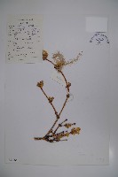 登錄號:S022765藏品圖，第1張