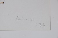 登錄號:S022765藏品圖，第2張