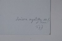 登錄號:S022766藏品圖，第2張