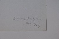 唐古特忍冬藏品圖，第2張