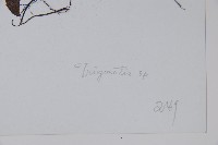 登錄號:S022790藏品圖，第2張