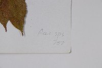 登錄號:S023208藏品圖，第2張