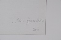 毛果槭藏品圖，第2張