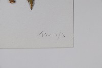 登錄號:S023220藏品圖，第2張