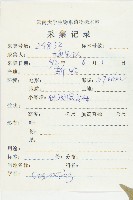 短圓葉棶木藏品圖，第2張