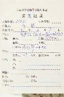 梜木藏品圖，第2張