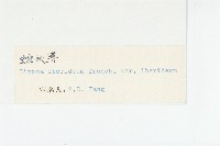 蛇頭薺藏品圖，第3張