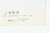 雲南葶藶藏品圖，第3張