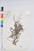 登錄號:S023557藏品圖，第1張