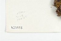 登錄號:S023558藏品圖，第2張