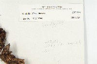 登錄號:S023558藏品圖，第3張