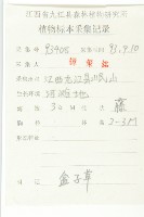 合子草藏品圖，第2張