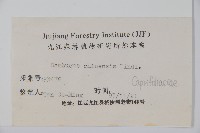 冇骨消藏品圖，第2張