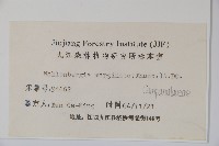 細葉蘭花參藏品圖，第2張