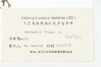 碎米薺藏品圖，第3張