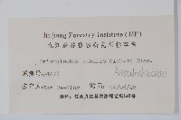 馬兜鈴藏品圖，第2張