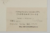 婆婆指甲菜藏品圖，第3張