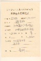 白頂飛蓬藏品圖，第2張