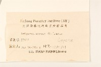 白頂飛蓬藏品圖，第3張