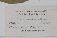 八角楓、瓜木藏品圖，第2張