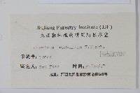 短尾鵝耳櫪藏品圖，第2張