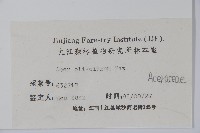 五裂槭藏品圖，第2張