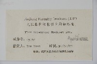 密毛假黃楊藏品圖，第2張