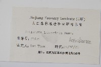 小葉獼猴桃藏品圖，第2張