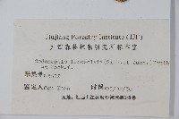 羊乳、四葉參藏品圖，第2張