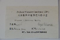 莢迷藏品圖，第2張