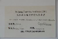 登錄號:S023812藏品圖，第2張