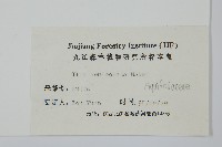 鼠李冬青、滿樹星藏品圖，第2張