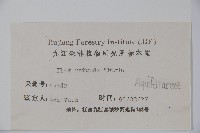 鐵冬青藏品圖，第2張