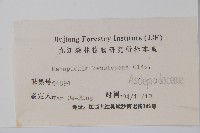 華蘿藦、奶漿藤藏品圖，第2張