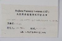 南酸棗藏品圖，第2張