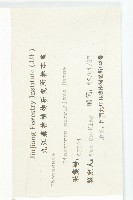 山紅柿藏品圖，第6張