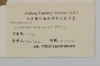 南蛇藤藏品圖，第3張