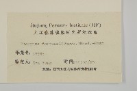 扶芳藤藏品圖，第3張