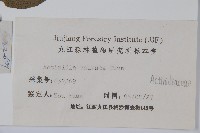 對萼獼猴桃藏品圖，第2張