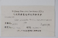 小雞爪槭藏品圖，第2張