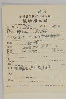 白杜藏品圖，第2張