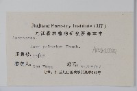 雞爪槭藏品圖，第2張