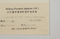 扶芳藤藏品圖，第3張