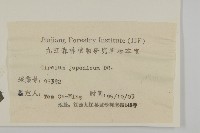 小薊藏品圖，第3張