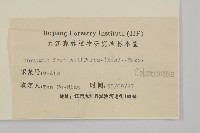 扶芳藤藏品圖，第3張