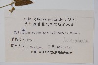 鷗蔓藏品圖，第2張