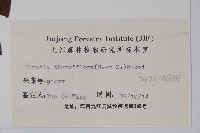 厚殼樹藏品圖，第2張