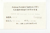 山茱萸藏品圖，第3張