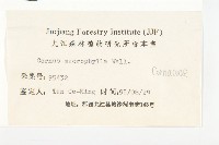 梜木藏品圖，第3張